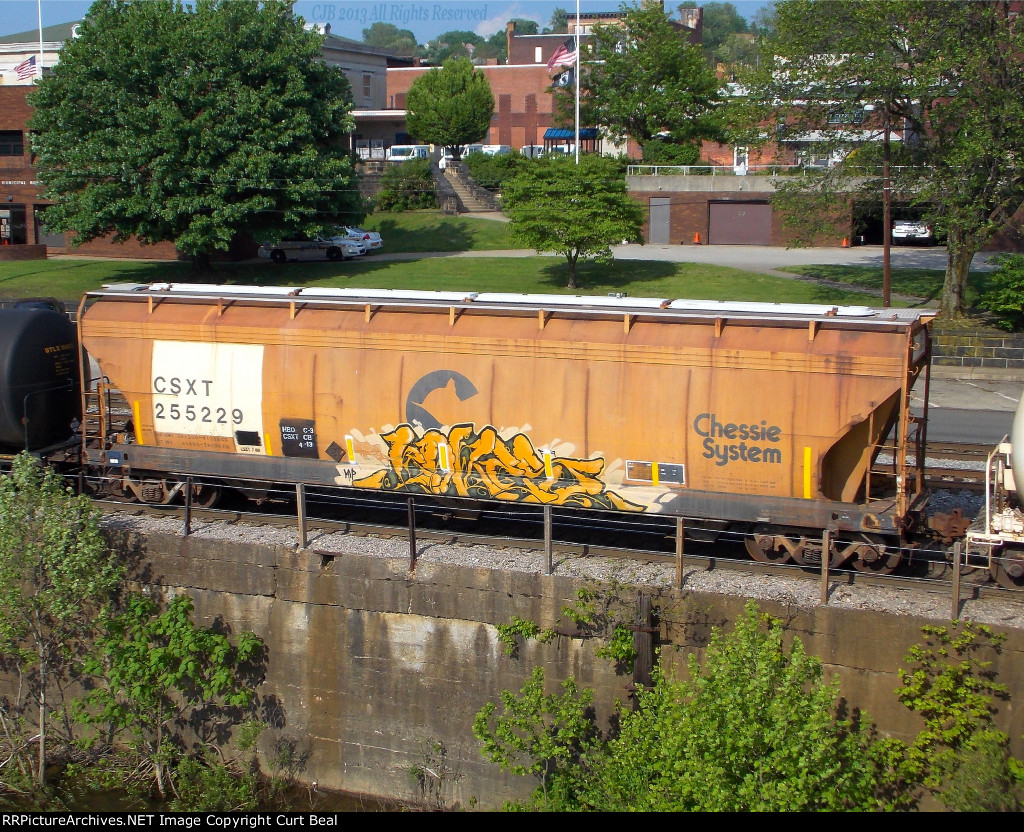 CSX 255229